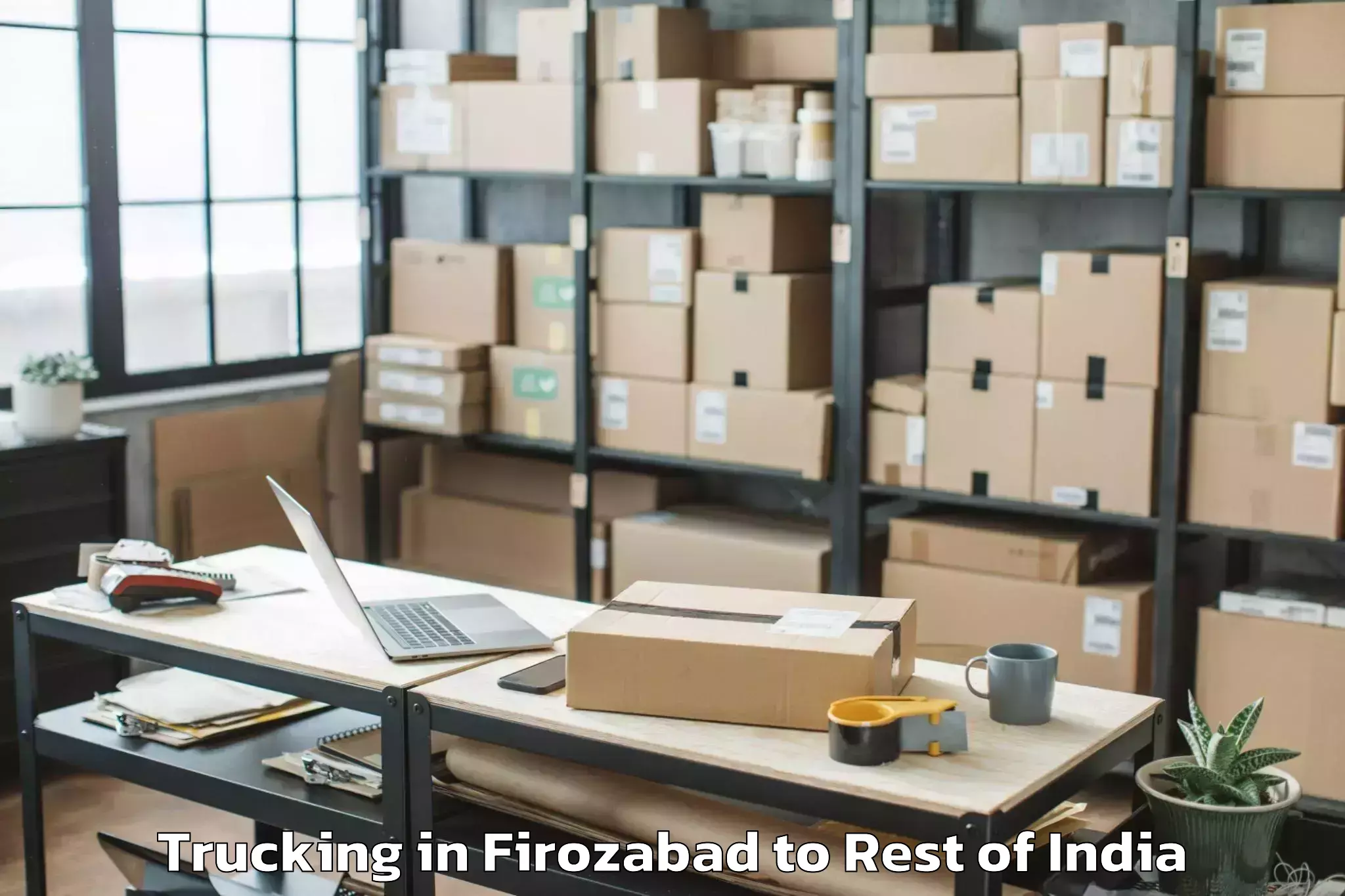 Discover Firozabad to Rajauri Trucking